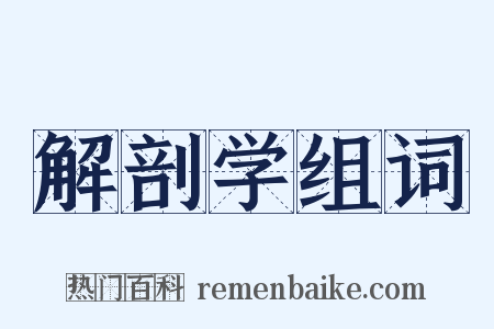 解剖学组词是什么意思的图片